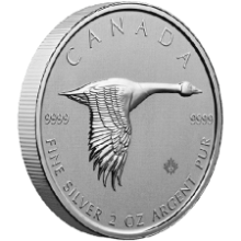 Picture of 2020 2oz Canadian Goose Silver Coin