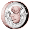 2021-5-oz-koala-silver-rose-gilded-high-relief-proof-coin-obverse