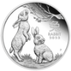 Picture of 2023 1/2oz Lunar Series III Year Of The Rabbit Proof Silver Coin in presentation box