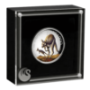Picture of 2022 1oz Australian Kangaroo Silver High Relief Coloured Coin in presentation box