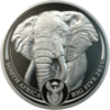 Picture of 1oz African Elephant Platinum Coin